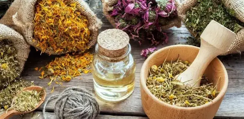 Natural Remedies: Harnessing the Healing Power of Herbal Medicine
